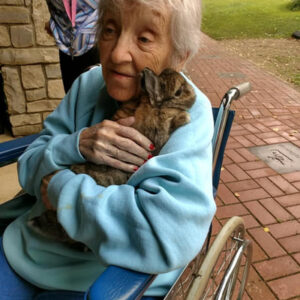 Elderly Woman Hugging Live Rabbit
