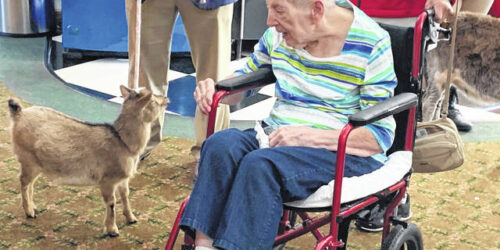 Elderly Woman Greeting Goat