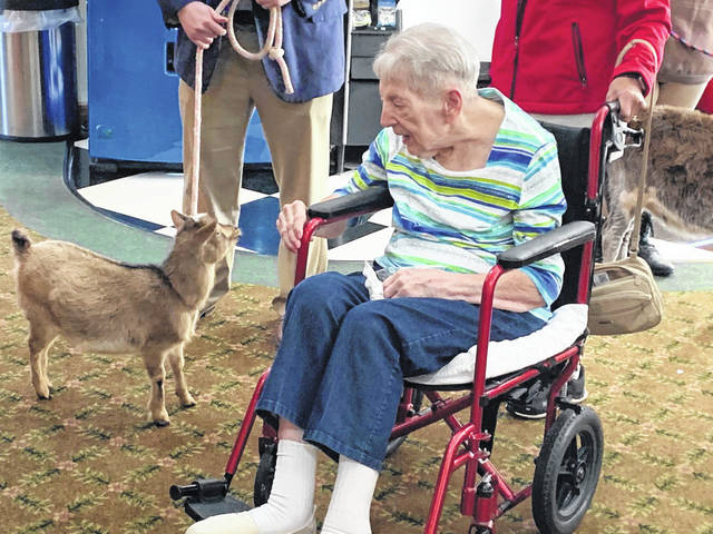 Elderly woman greeting goat